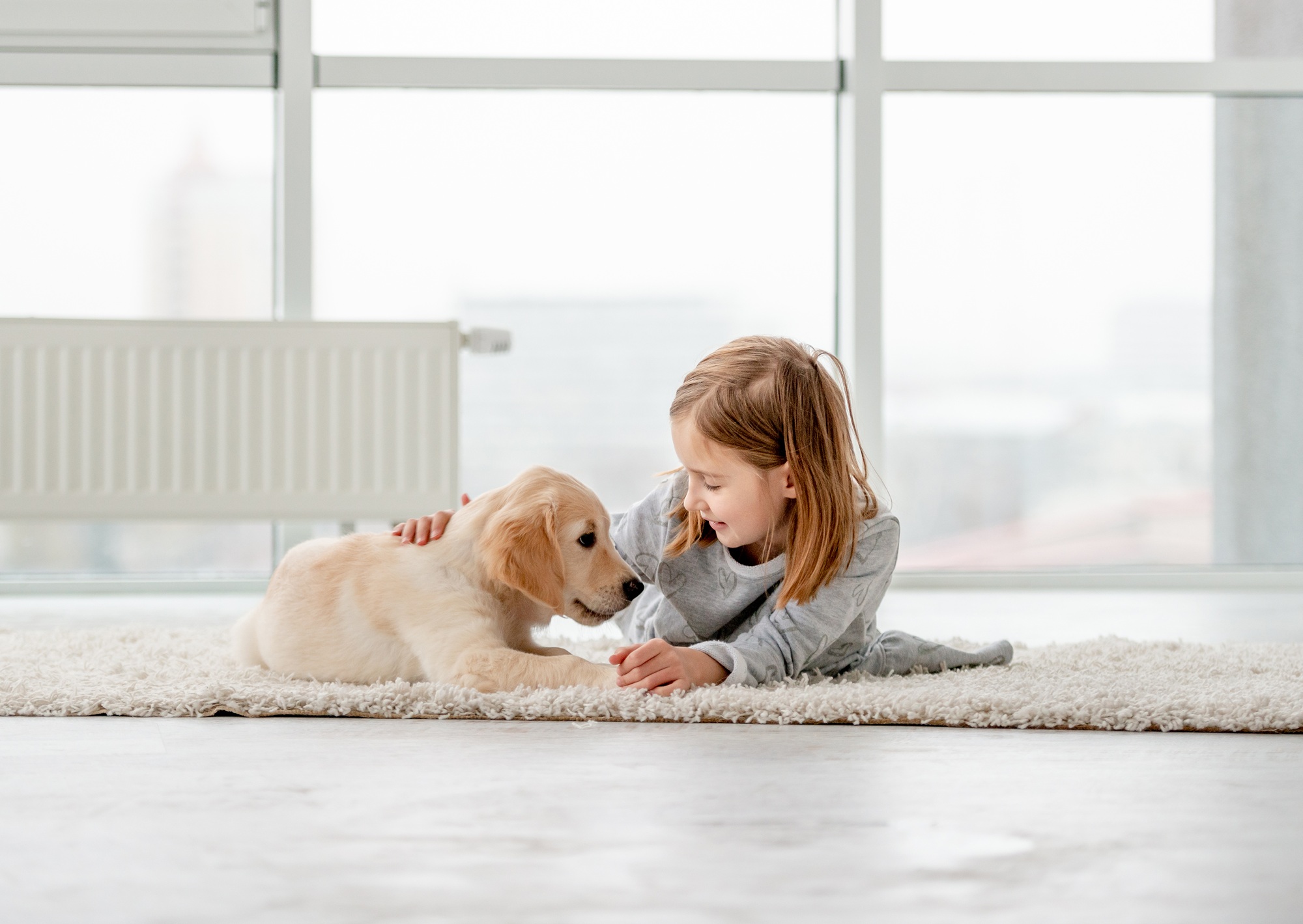 Como os animais podem ajudar no cuidado de pessoas neurodivergentes?