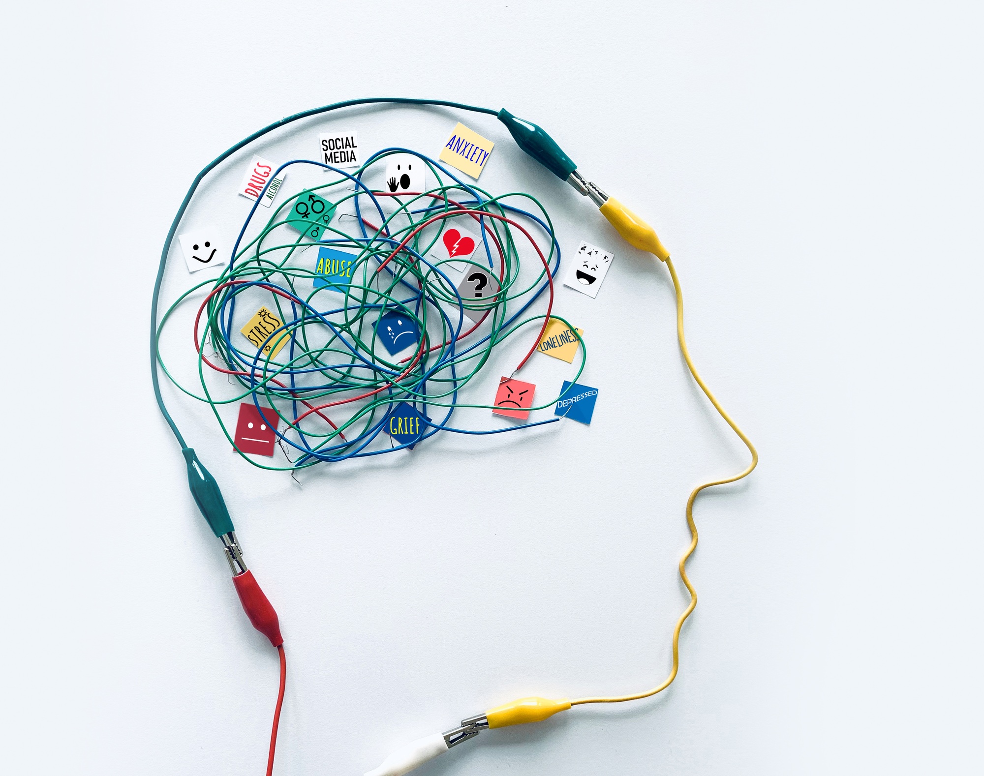 Neurociência e neurodivergência em foco