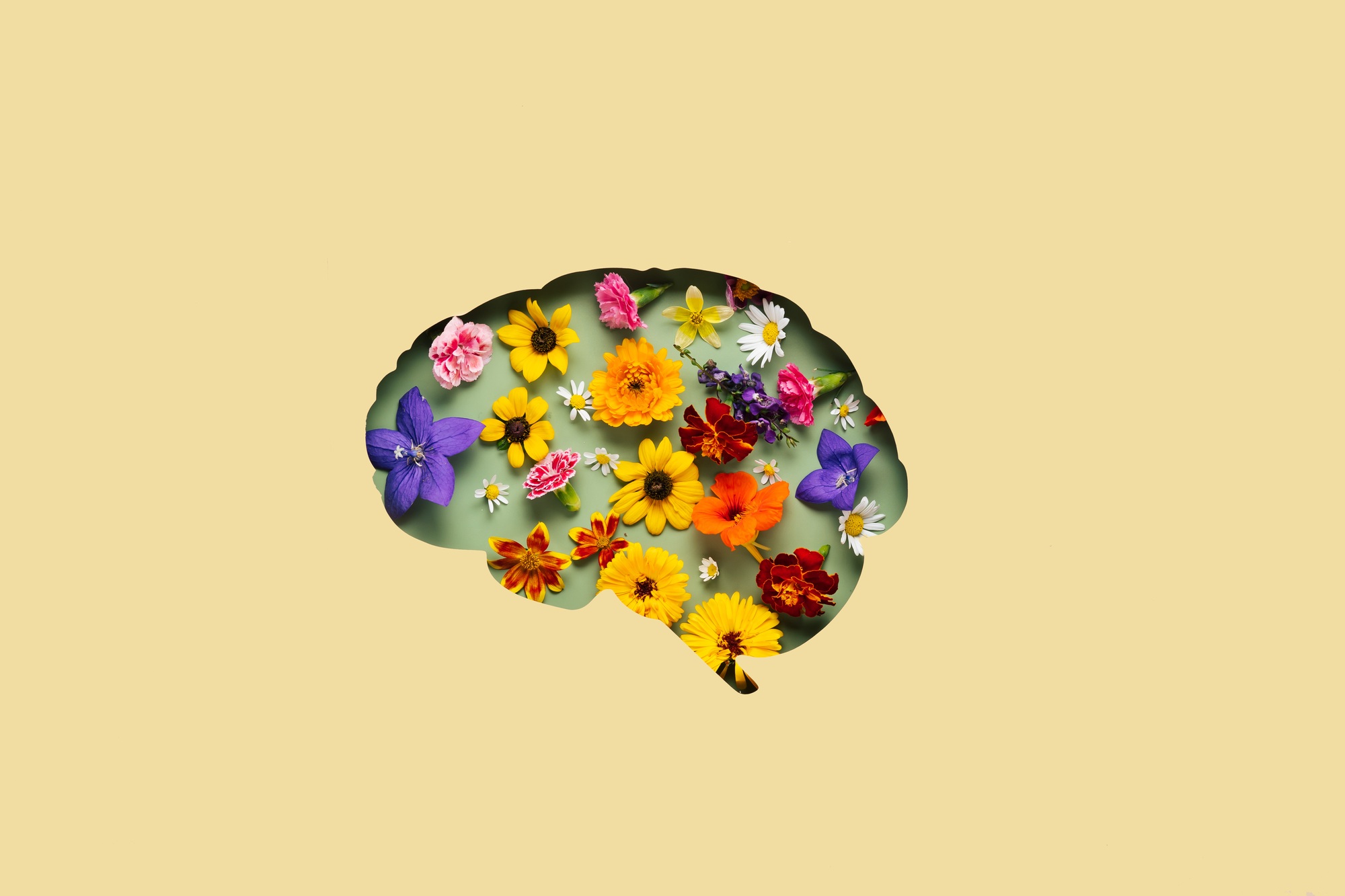 Diferenças entre deficiência, transtorno e variação neurológica