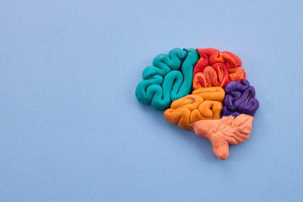Mental health support and autistic brain and autism disorder symptoms or Asperger syndrome