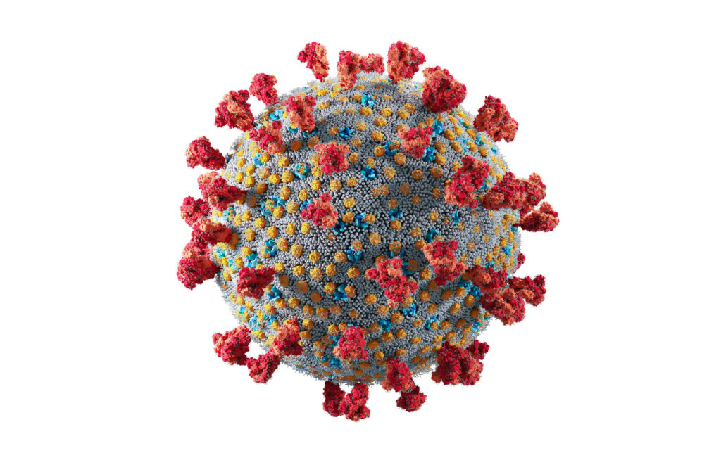 Coronavirus Covid-19. Scientifically accurate illustration of Covid corona virus cell.