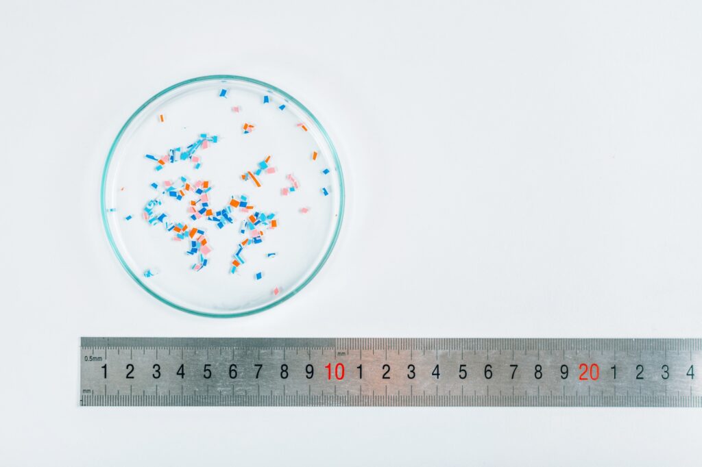 Microplastics in Petri Dish
