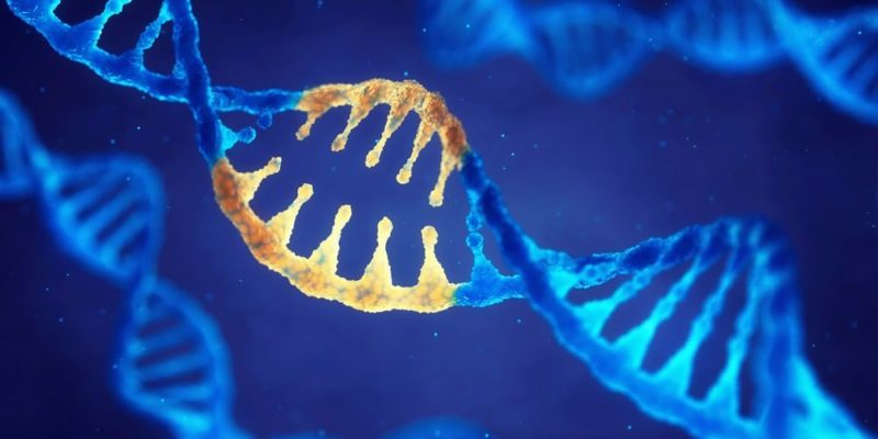 Não existe um “gene do autismo”.
